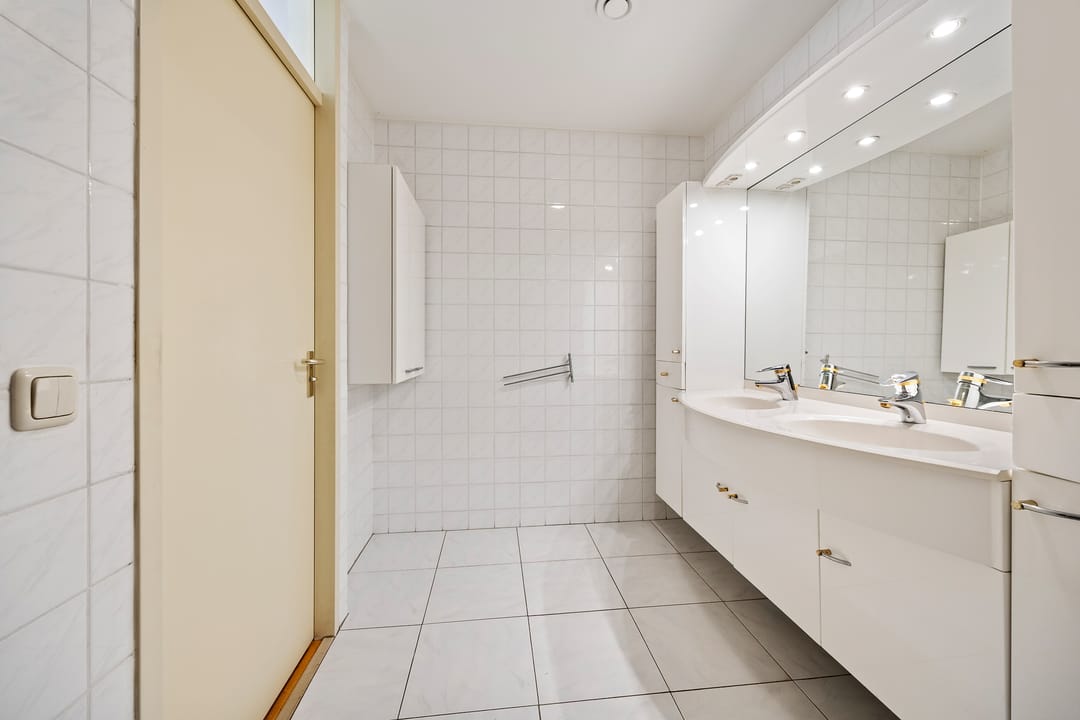 Foto 23 van de Balmerd 219