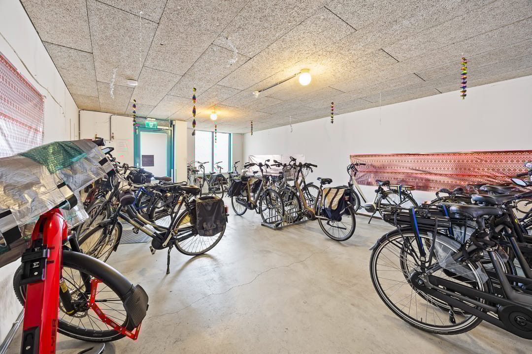 Foto 38 van de Balmerd 219