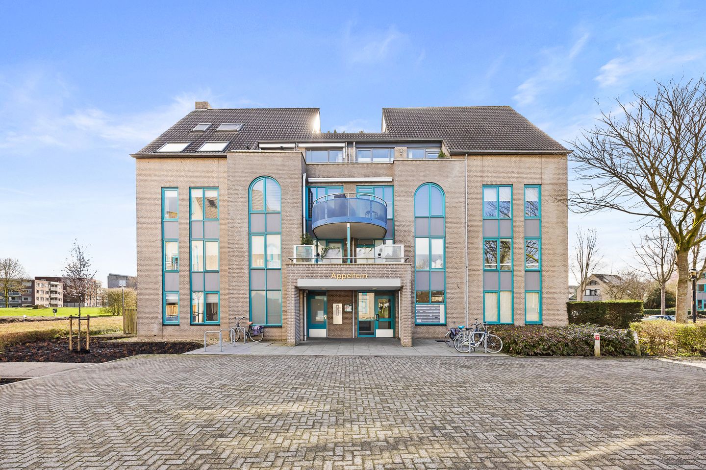 Foto 40 van de Balmerd 219