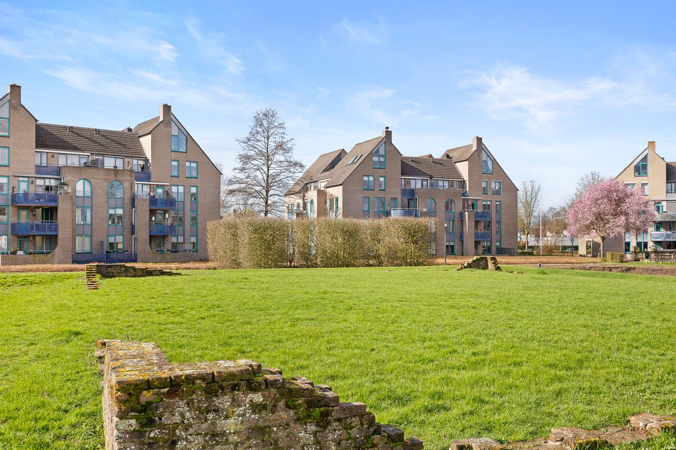 Foto 45 van de Balmerd 219