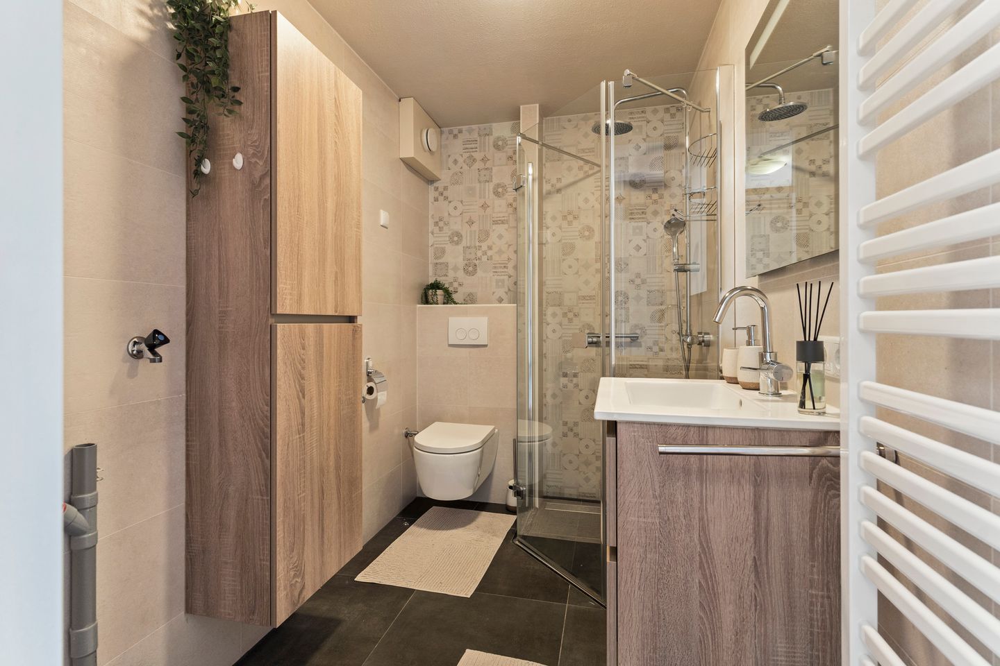 Foto 5 van Zwanenveld 3137