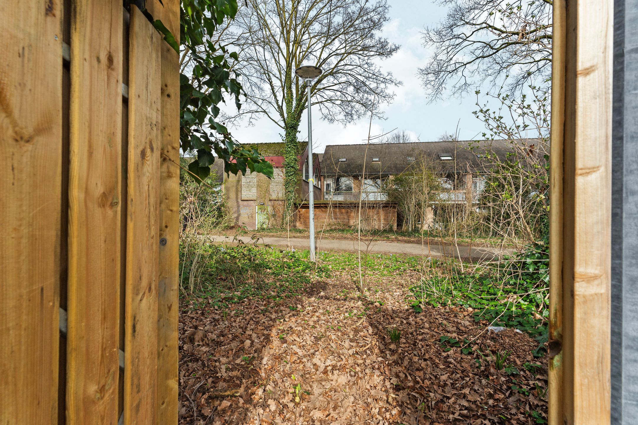 Foto 18 van Zwanenveld 3137