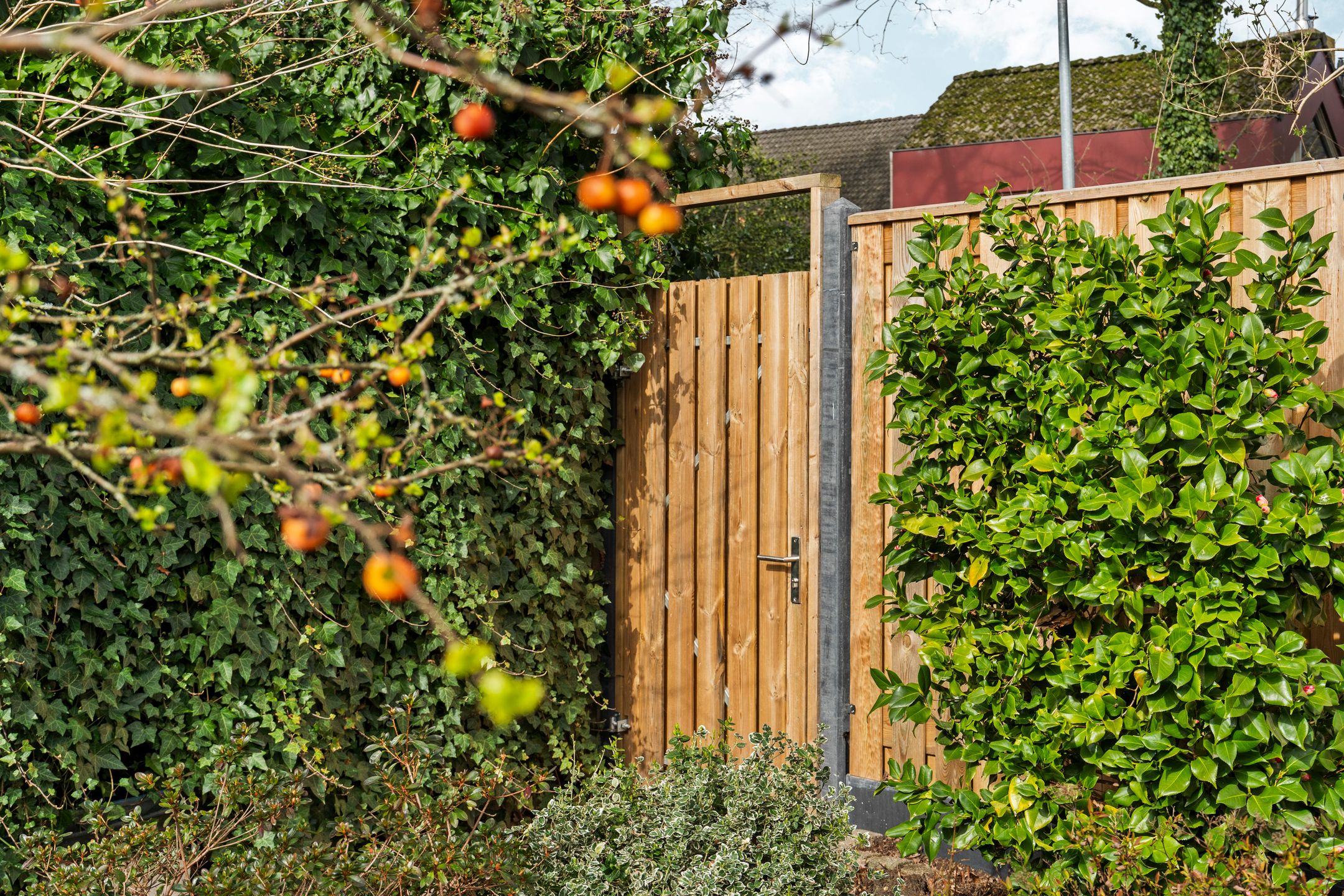 Foto 33 van Zwanenveld 3137