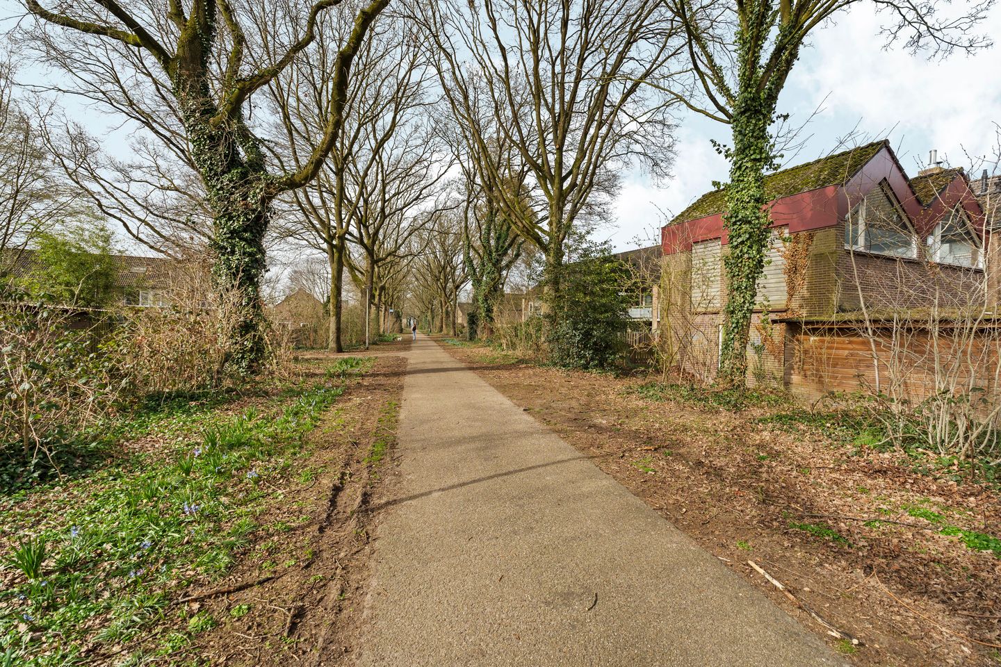 Foto 34 van Zwanenveld 3137