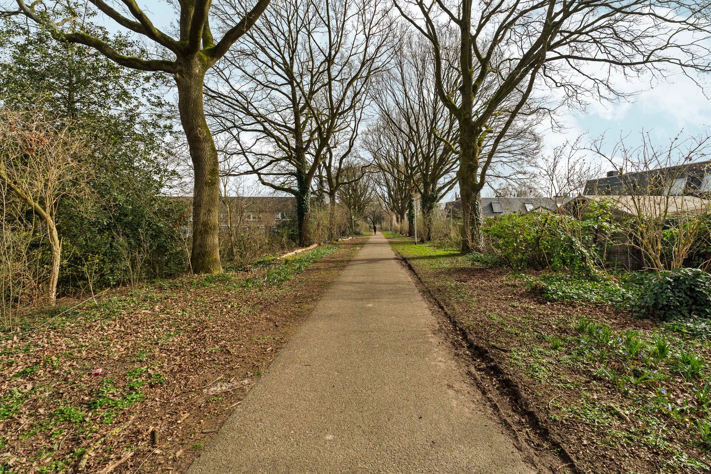 Foto 35 van Zwanenveld 3137