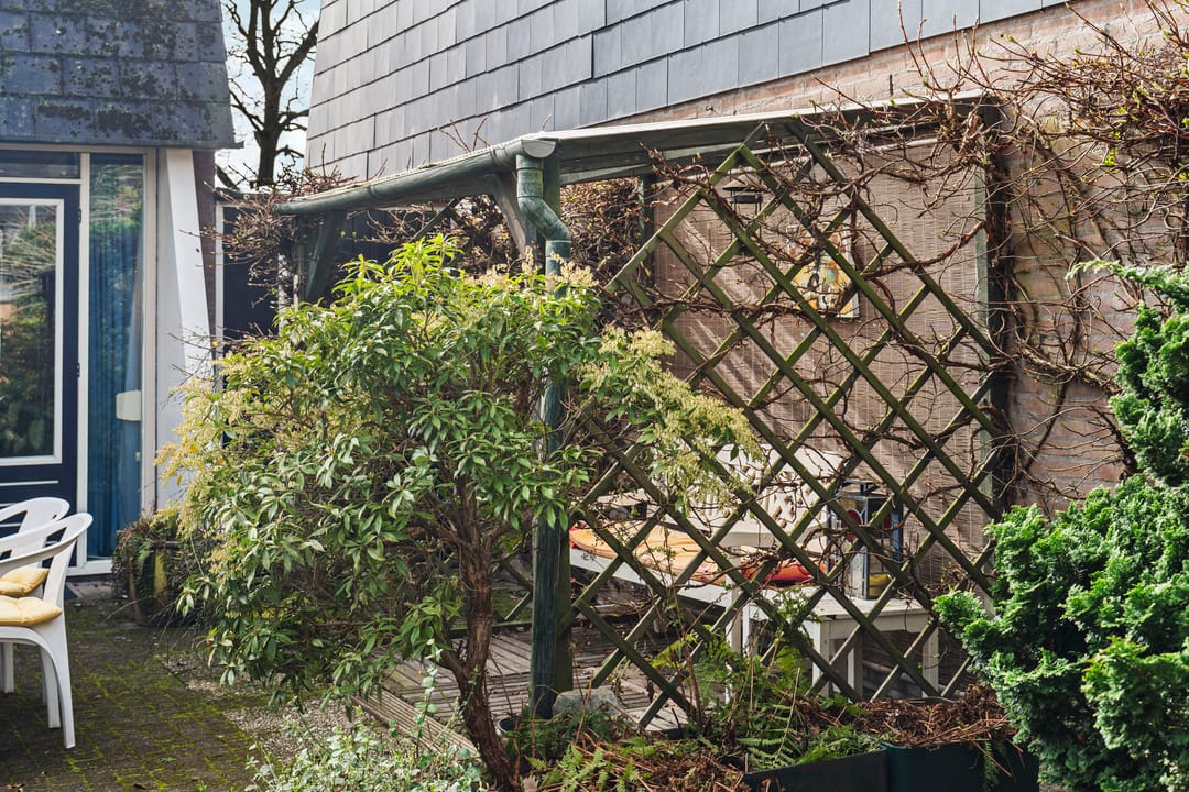 Foto 32 van Zwanenveld 3137