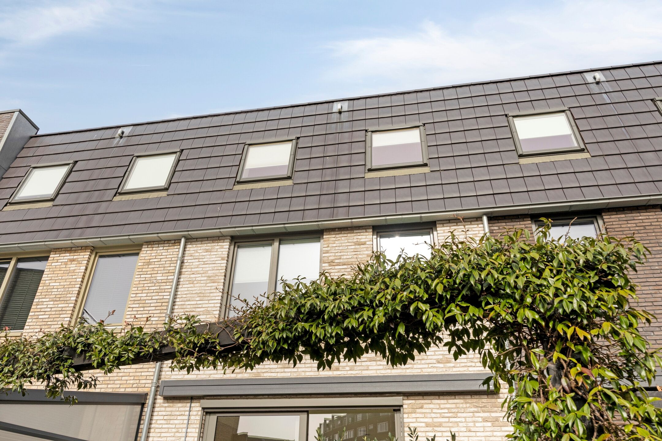 Photo 36 of Euryzaplein 6