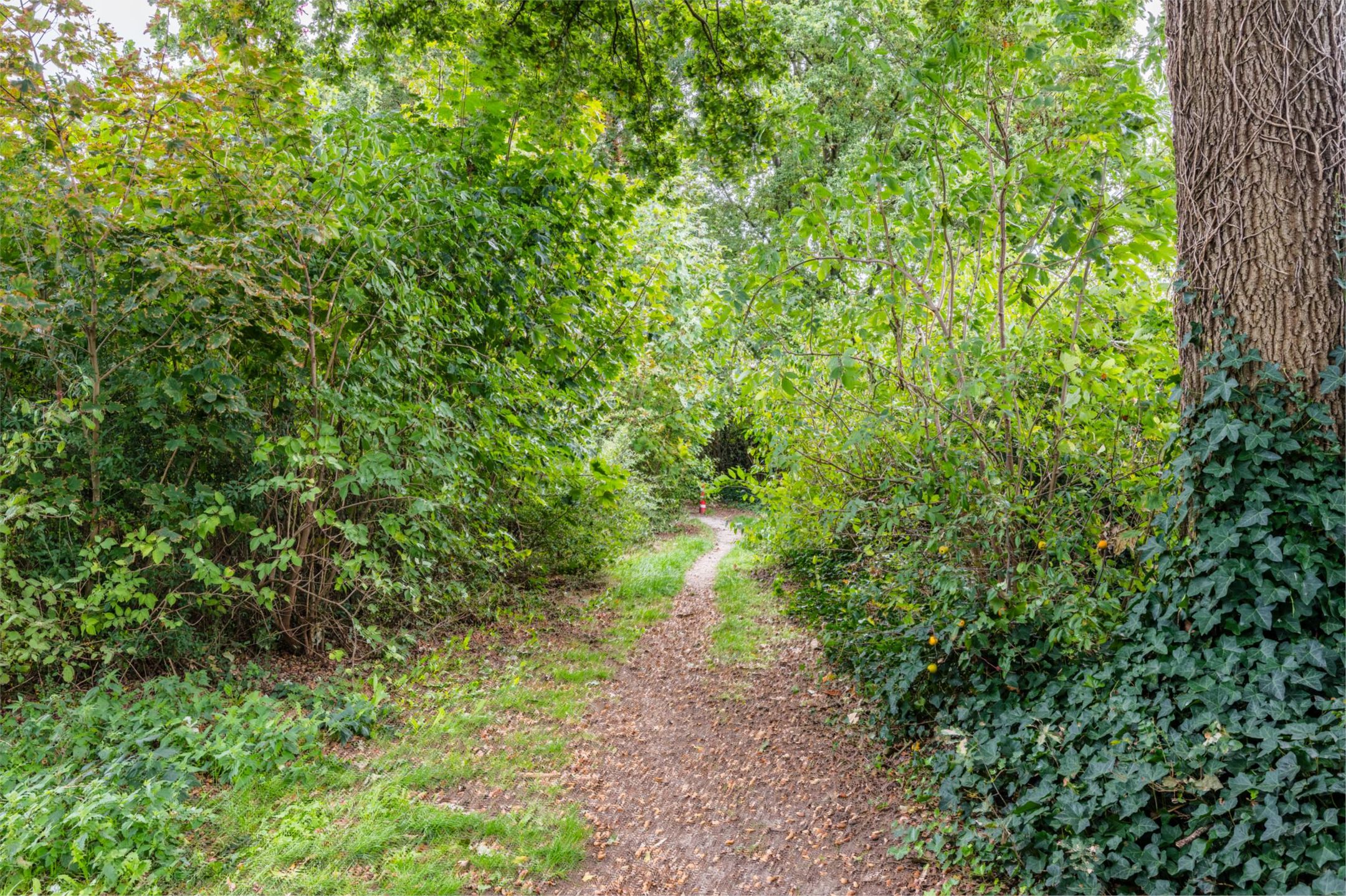 Photo 30 of Aldenhoven 38