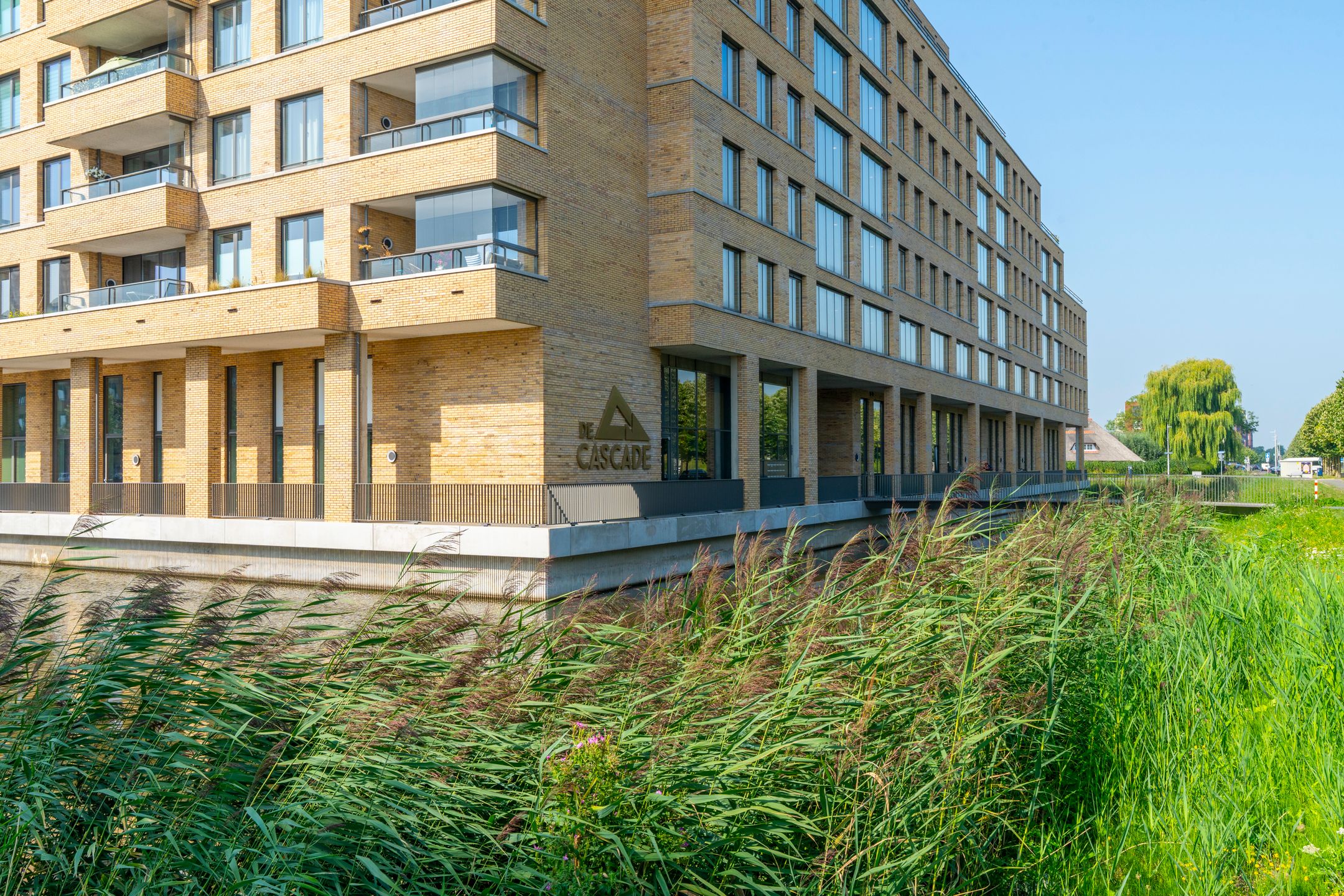 Photo 42 of Carel Willinkstraat 18