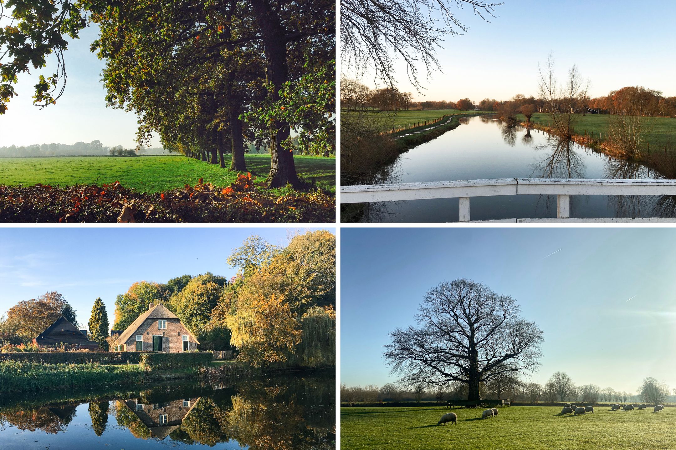 Foto 39 van Pastoor Heggelaan 17