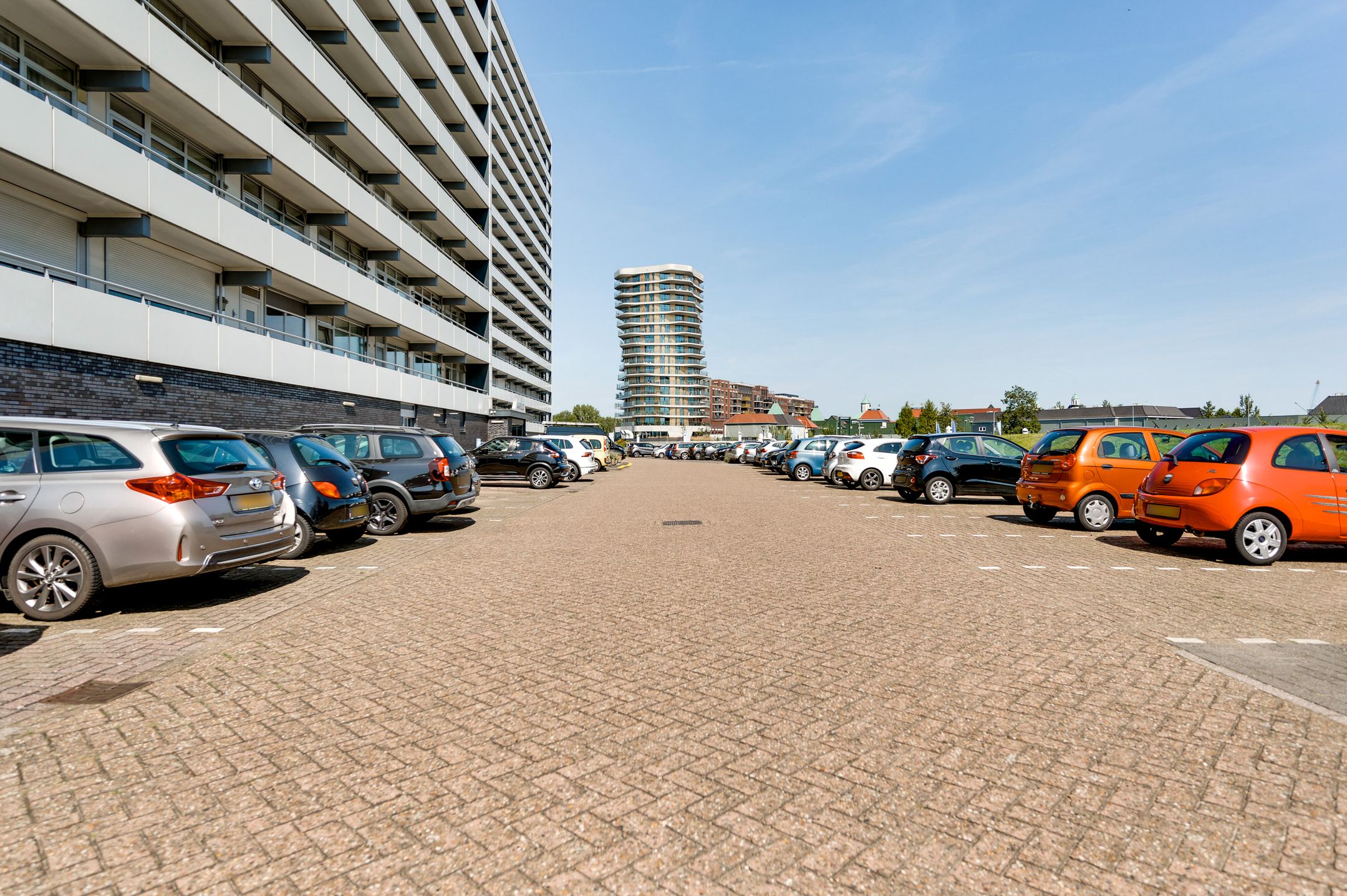 Photo 21 of Arlo 141