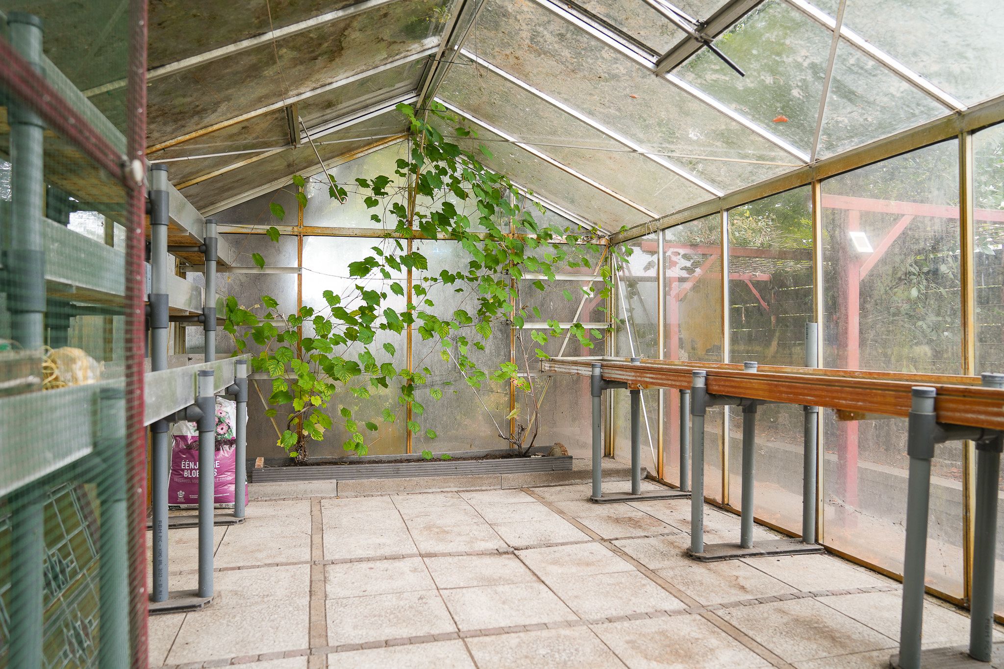 Foto 57 van Teisterbandstraat 61