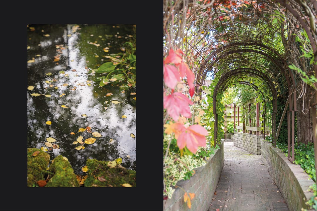 Foto 53 van Teisterbandstraat 61