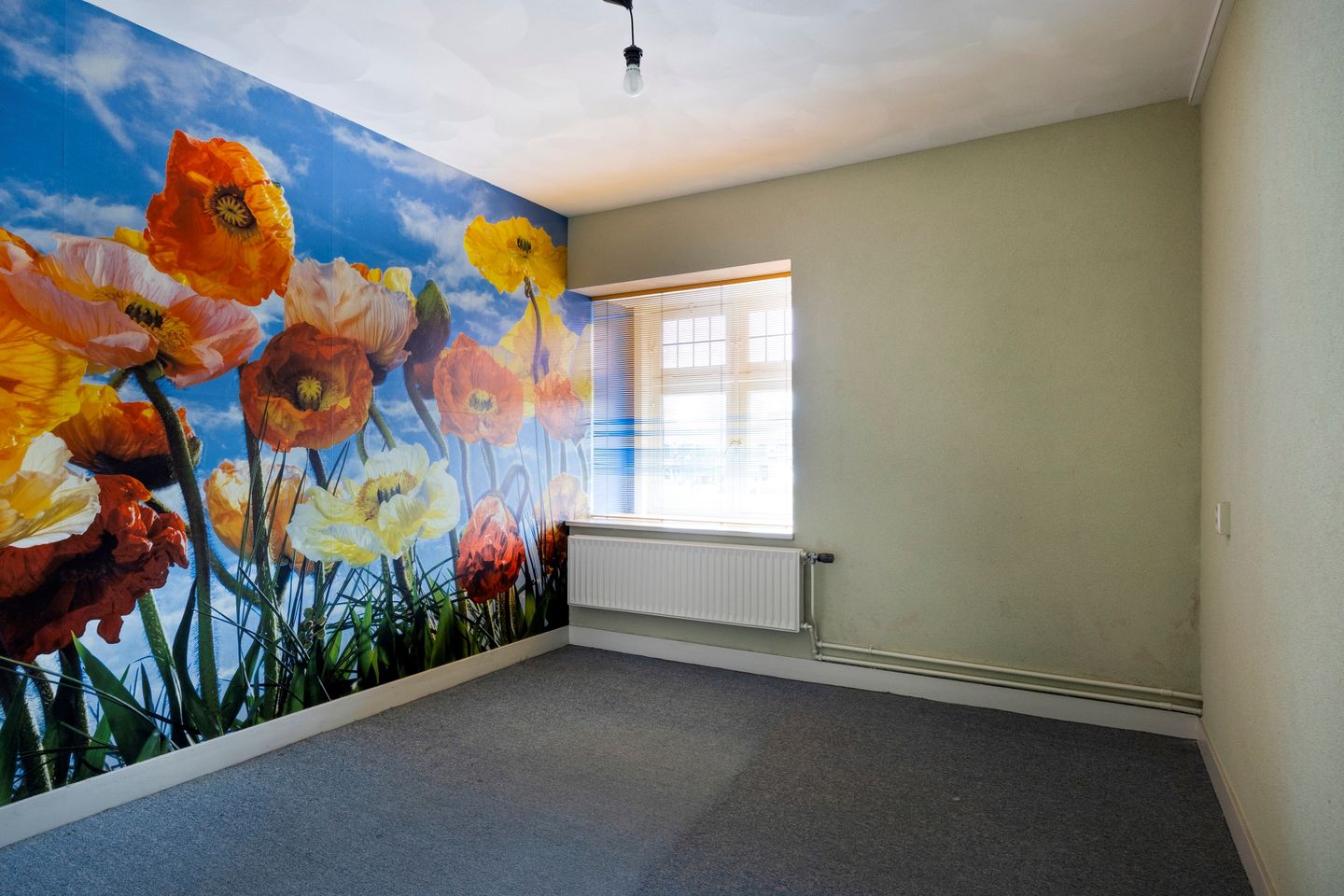 Foto 25 van Oranjeplein 39