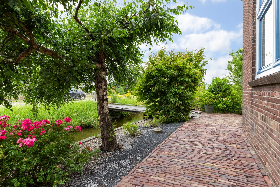 Photo 38 of Roemer 8