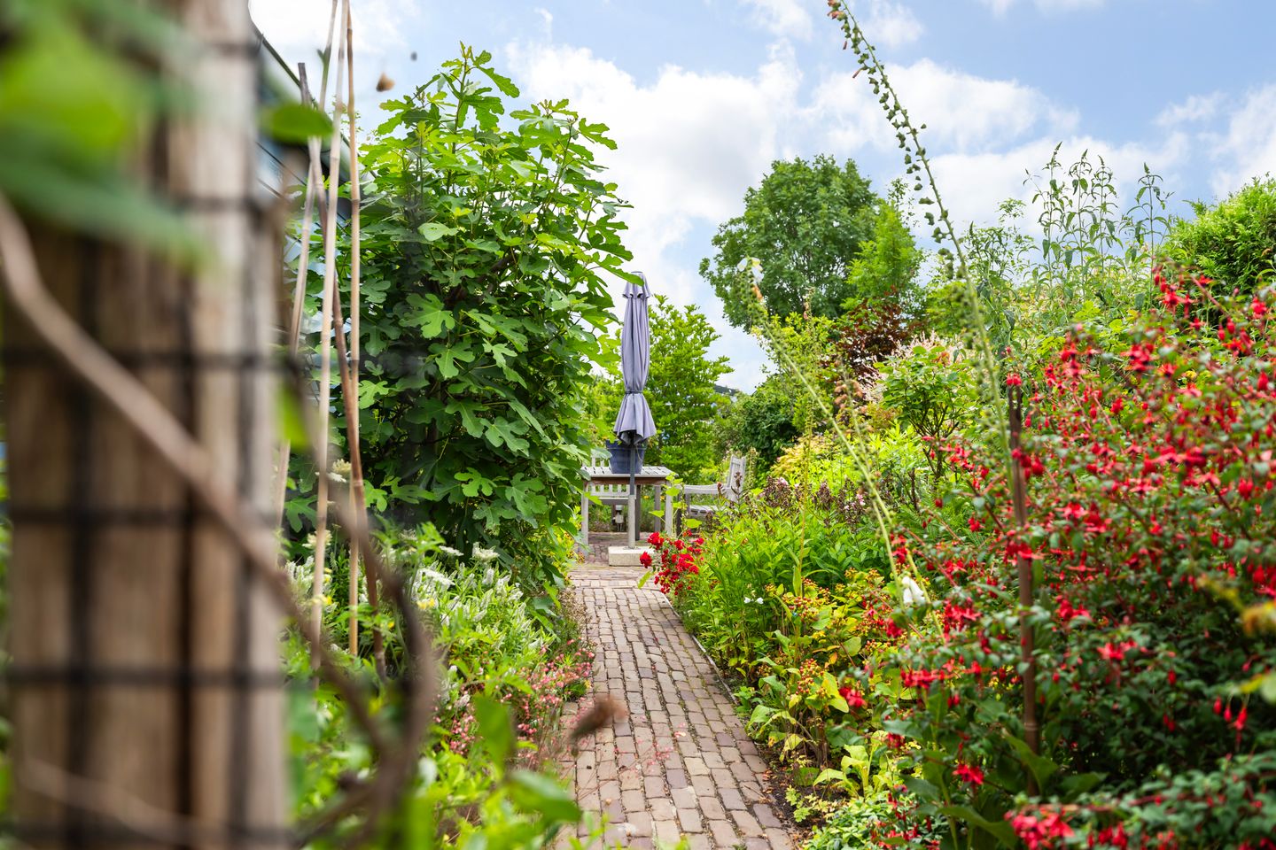 Photo 40 of Roemer 8