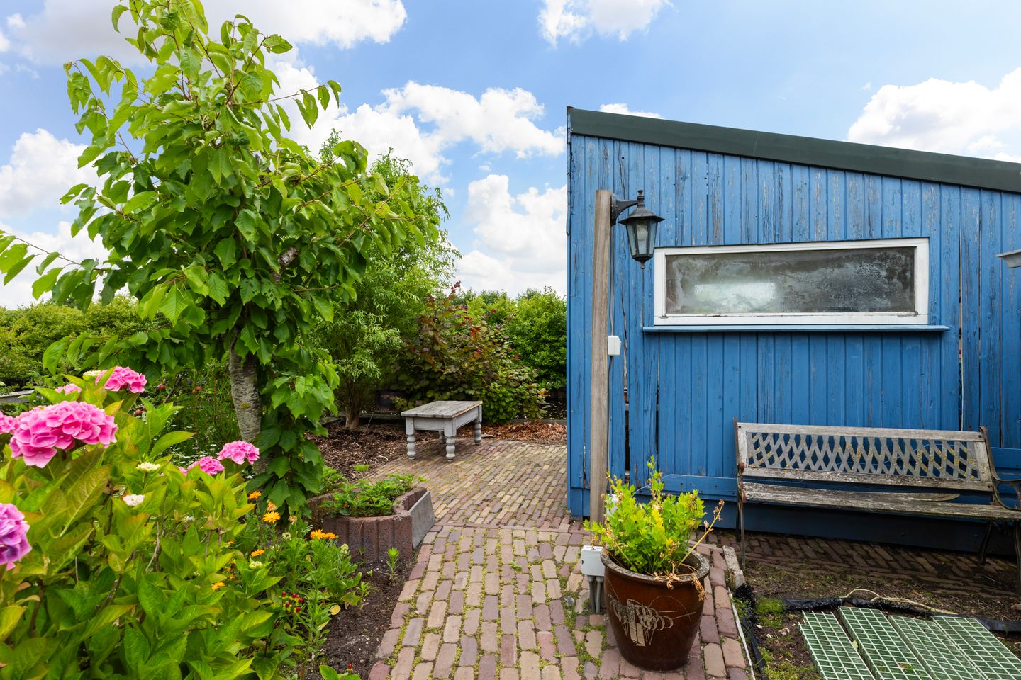 Photo 50 of Roemer 8