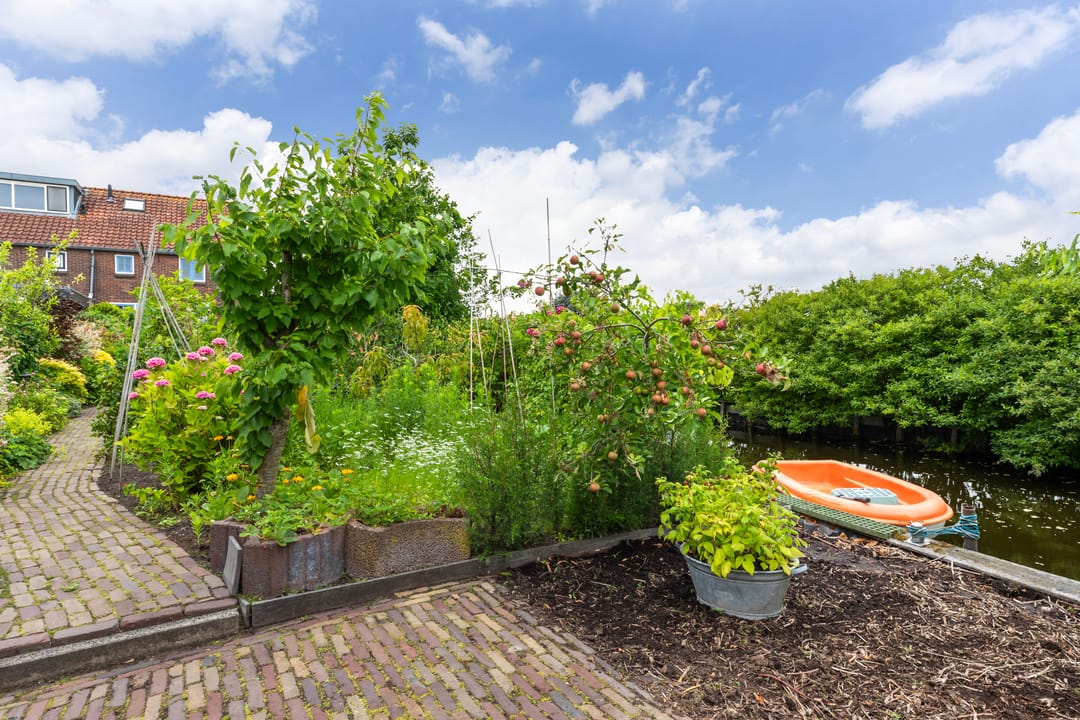 Photo 53 of Roemer 8