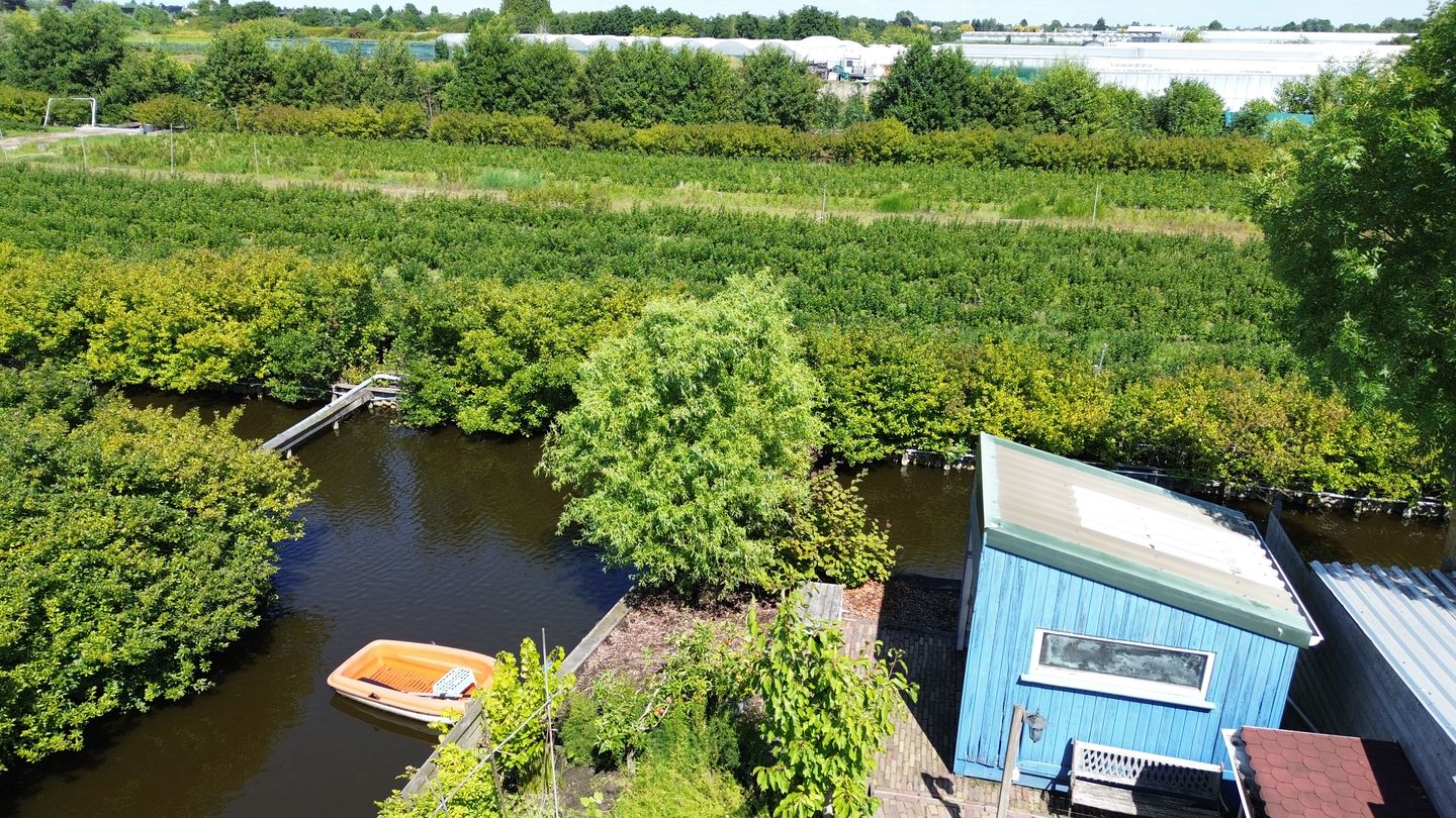 Photo 55 of Roemer 8