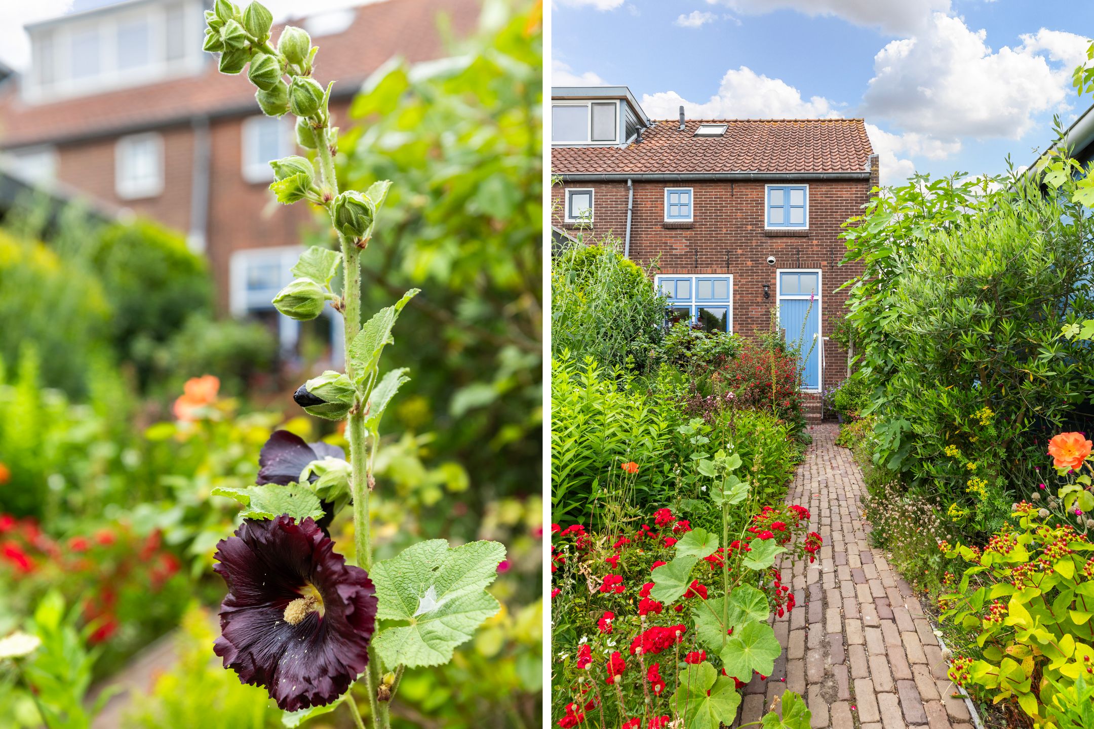 Photo 57 of Roemer 8