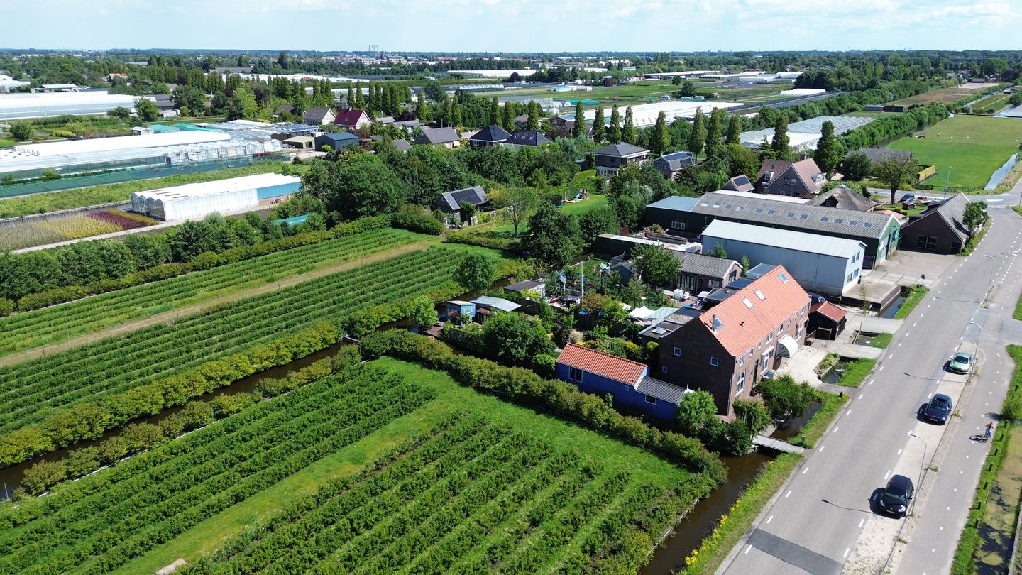 Photo 59 of Roemer 8