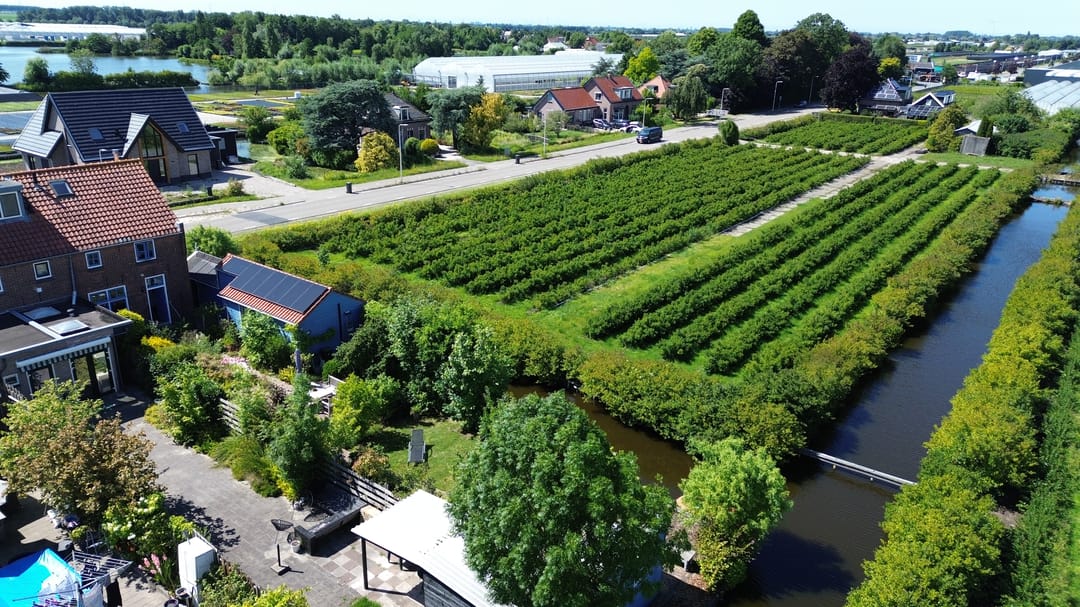 Photo 61 of Roemer 8