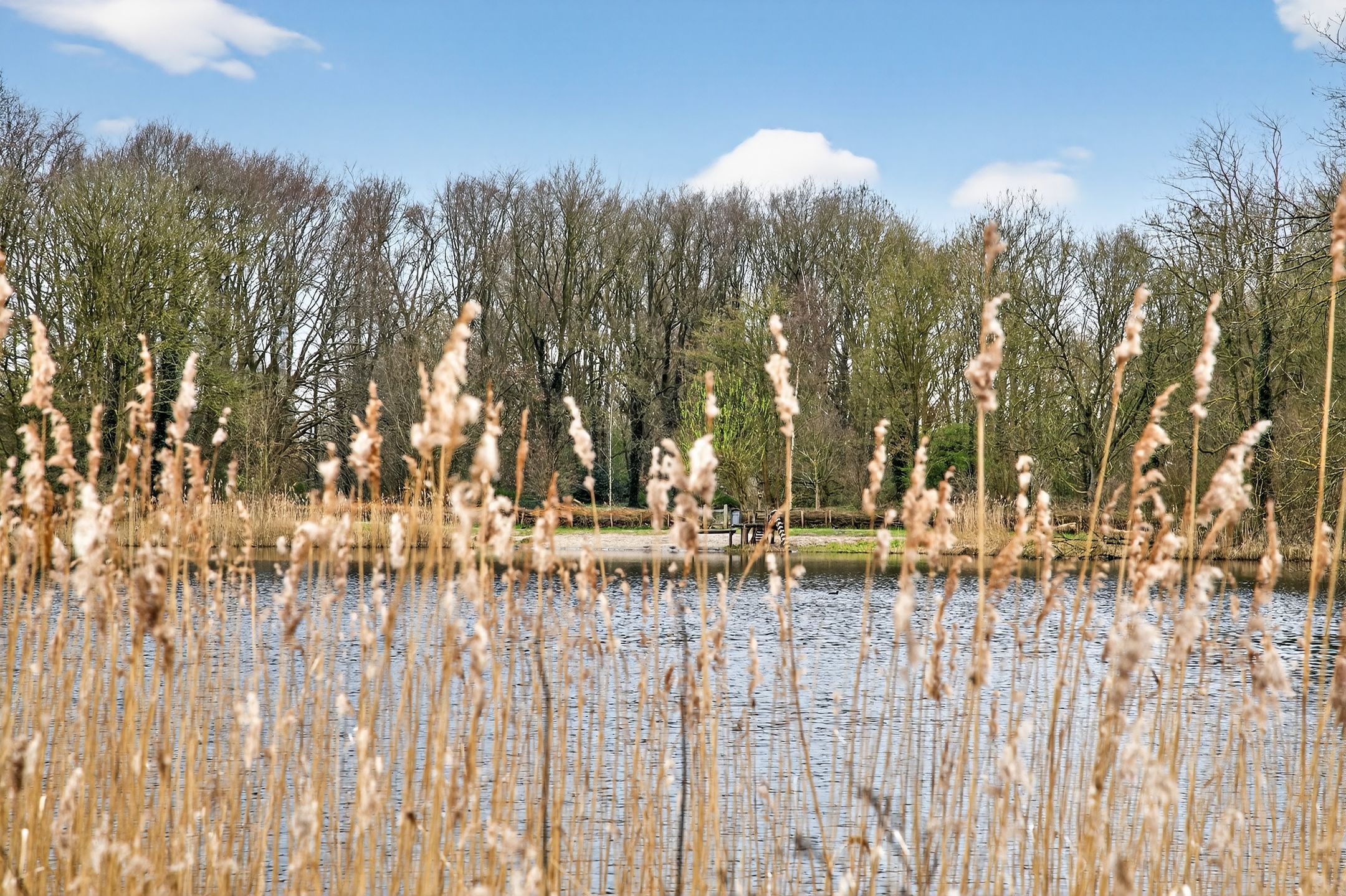 Foto 45 van Geerdinkhof 435