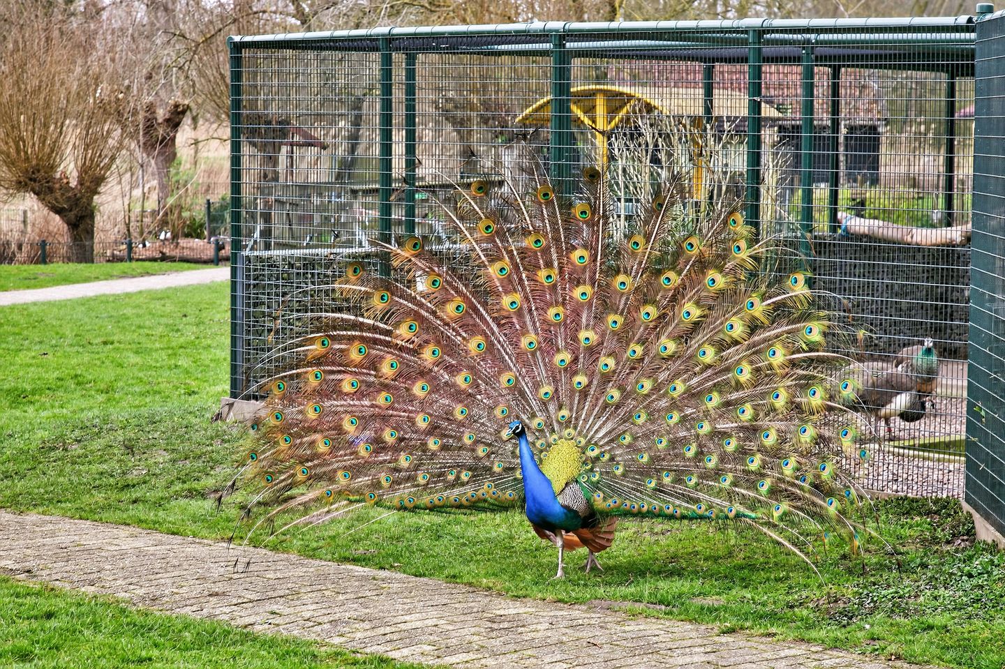 Foto 49 van Geerdinkhof 435