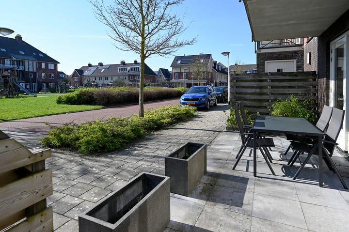 Photo 2 of Groene Kikker 4