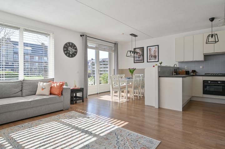 Photo 3 of Groene Kikker 4