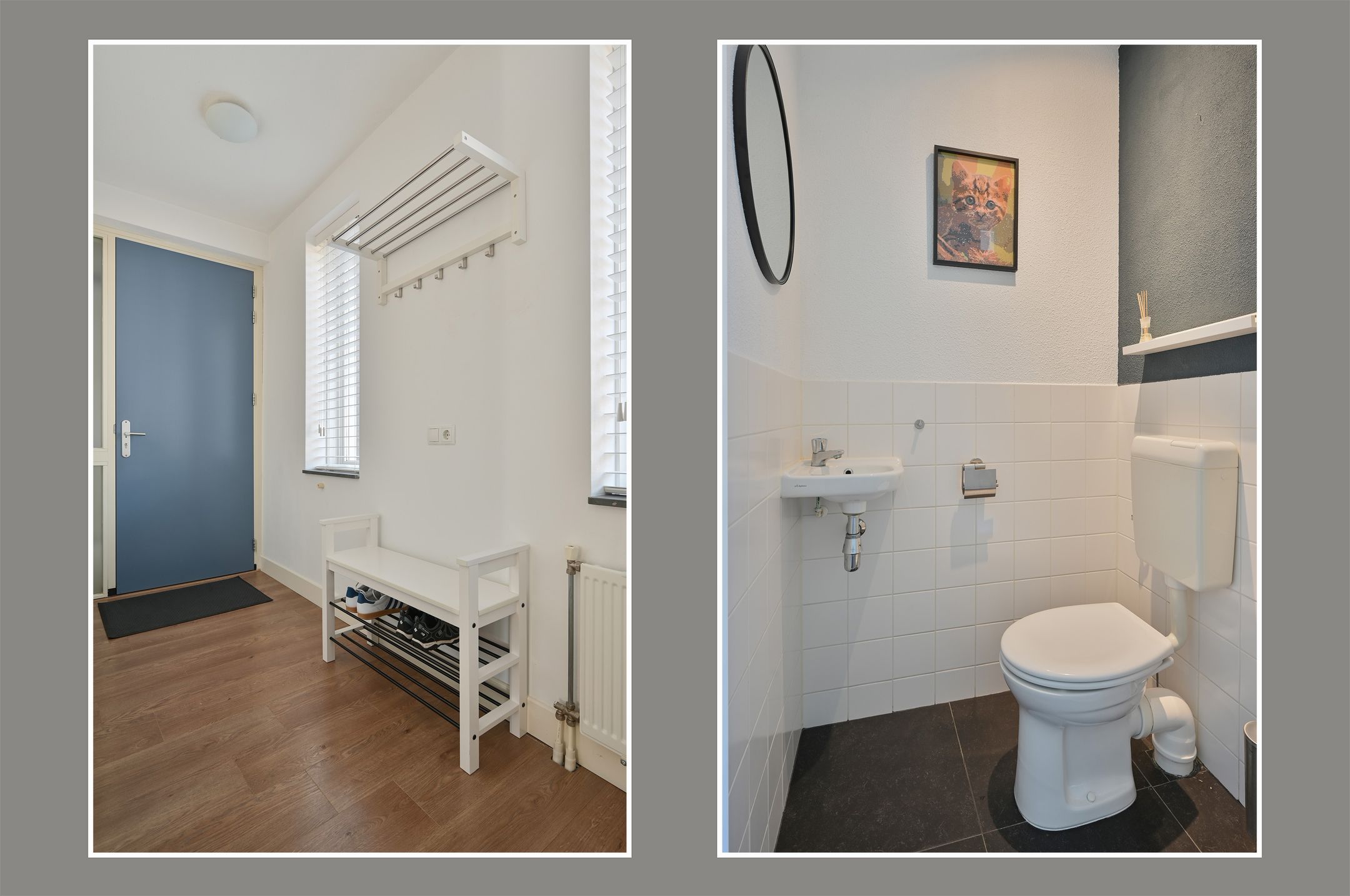 Foto 9 van Groene Kikker 4