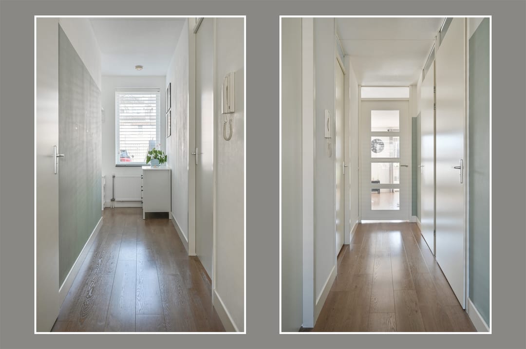 Foto 16 van Groene Kikker 4