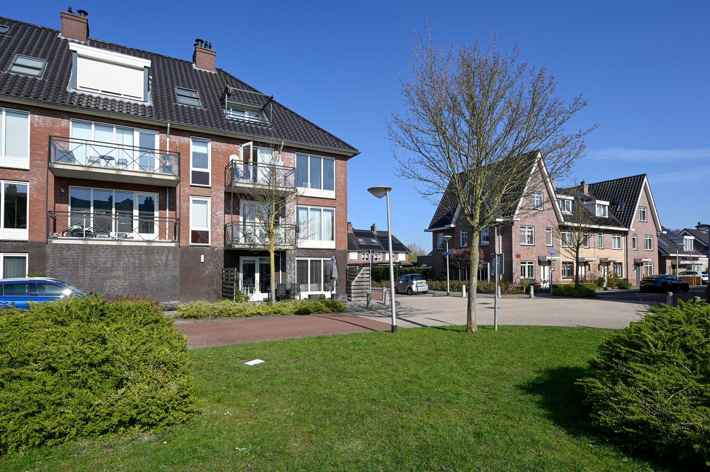 Foto 19 van Groene Kikker 4