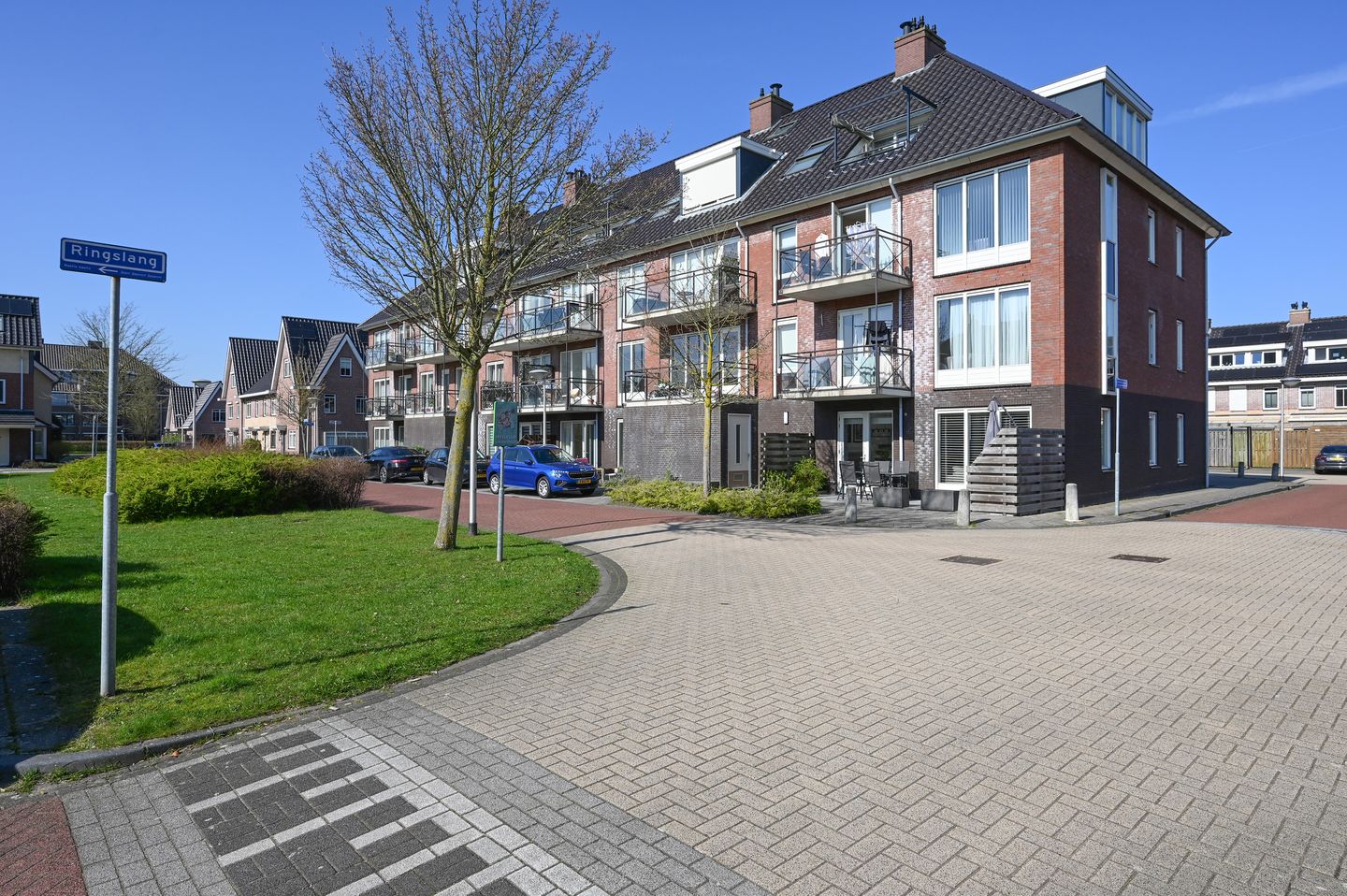 Foto 20 van Groene Kikker 4