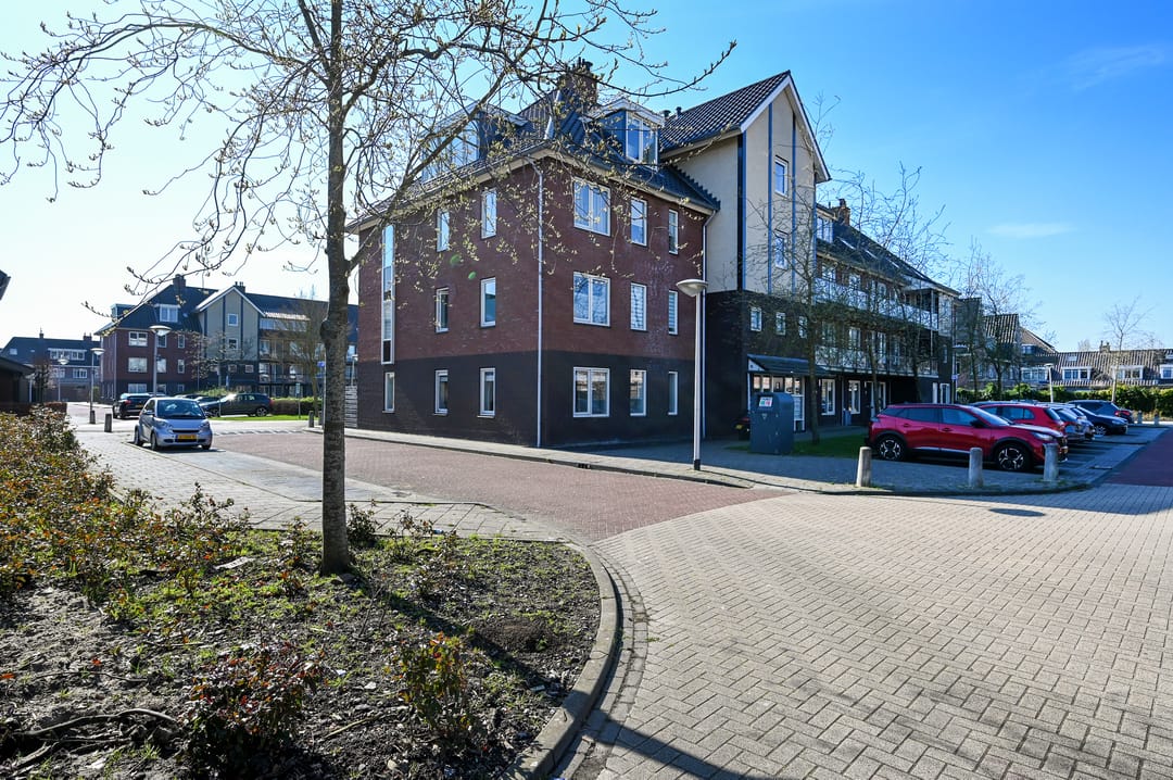 Foto 22 van Groene Kikker 4