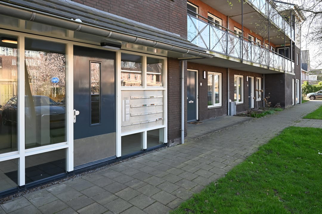 Foto 23 van Groene Kikker 4