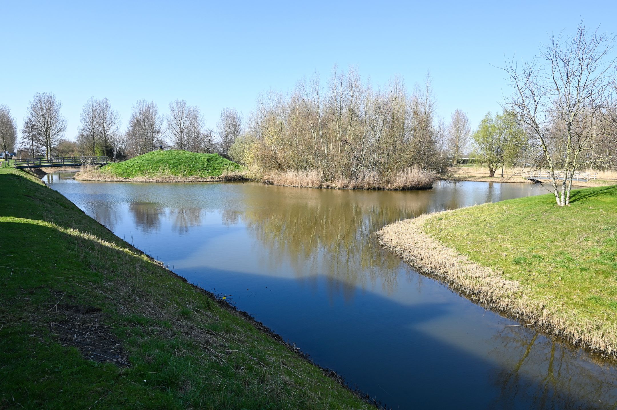 Foto 24 van Groene Kikker 4