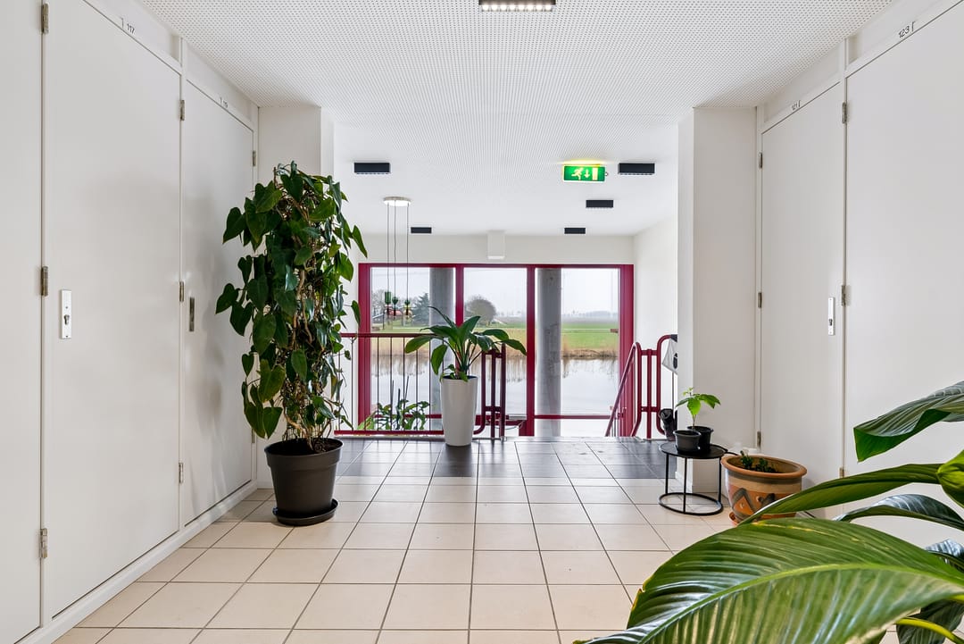 Foto 7 van Pastelstraat 153