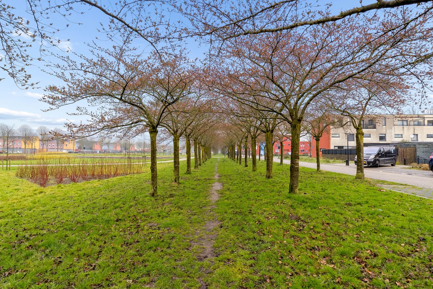 Foto 29 van Pastelstraat 153