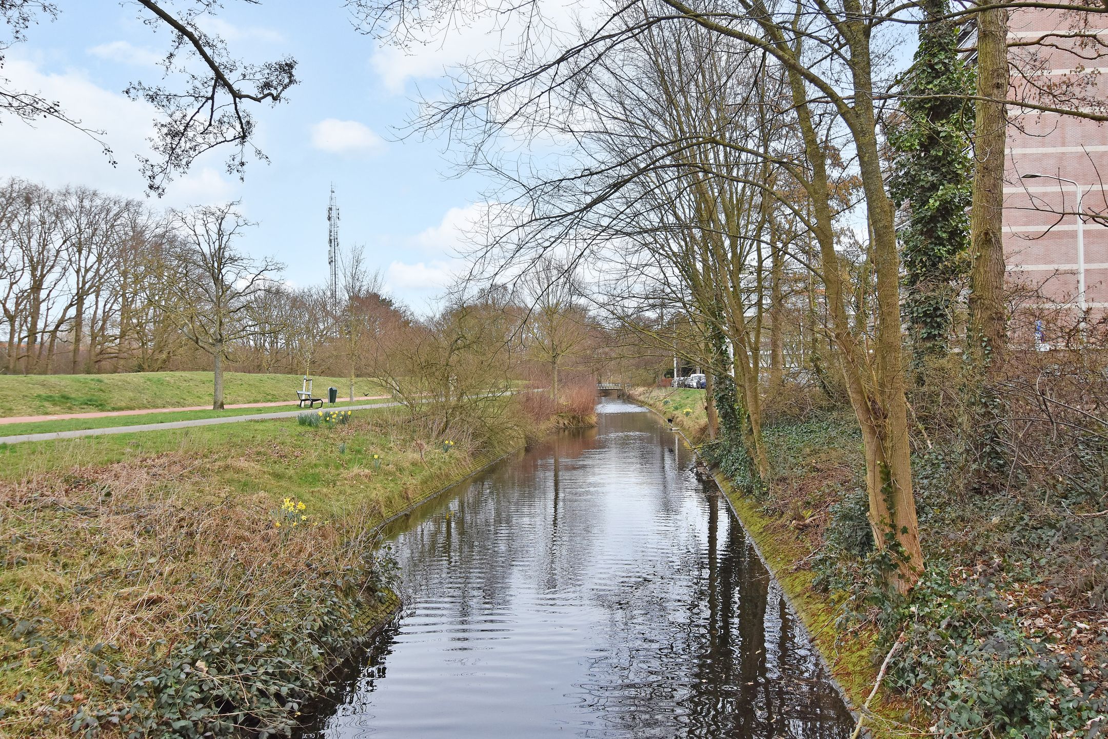 Foto 39 van Else Mauhslaan 137