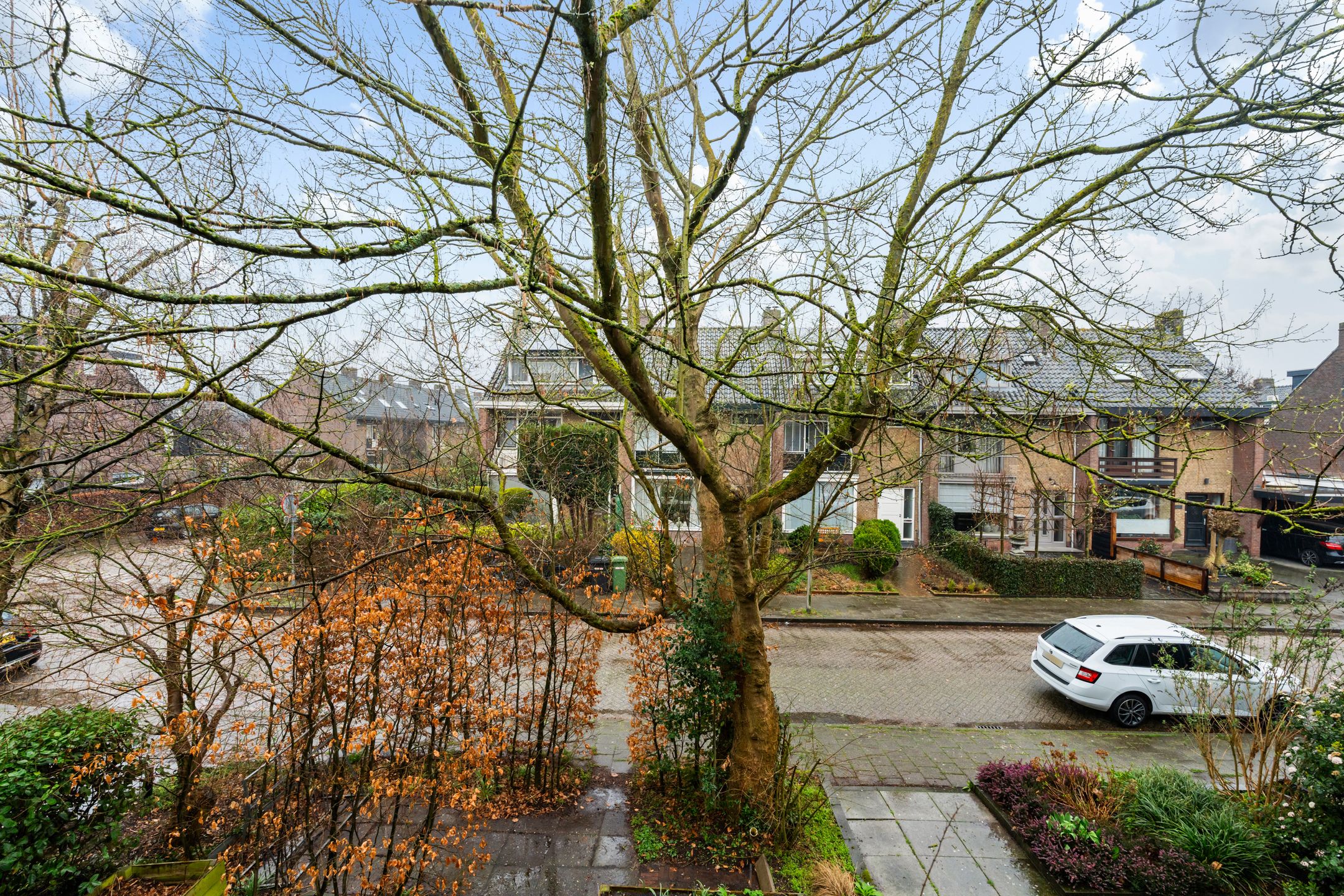 Photo 48 of Vondellaan 20