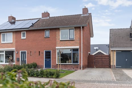 undefined main image