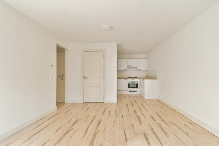 Foto 2 van Eerste Jan van der Heijdenstraat 42-3A