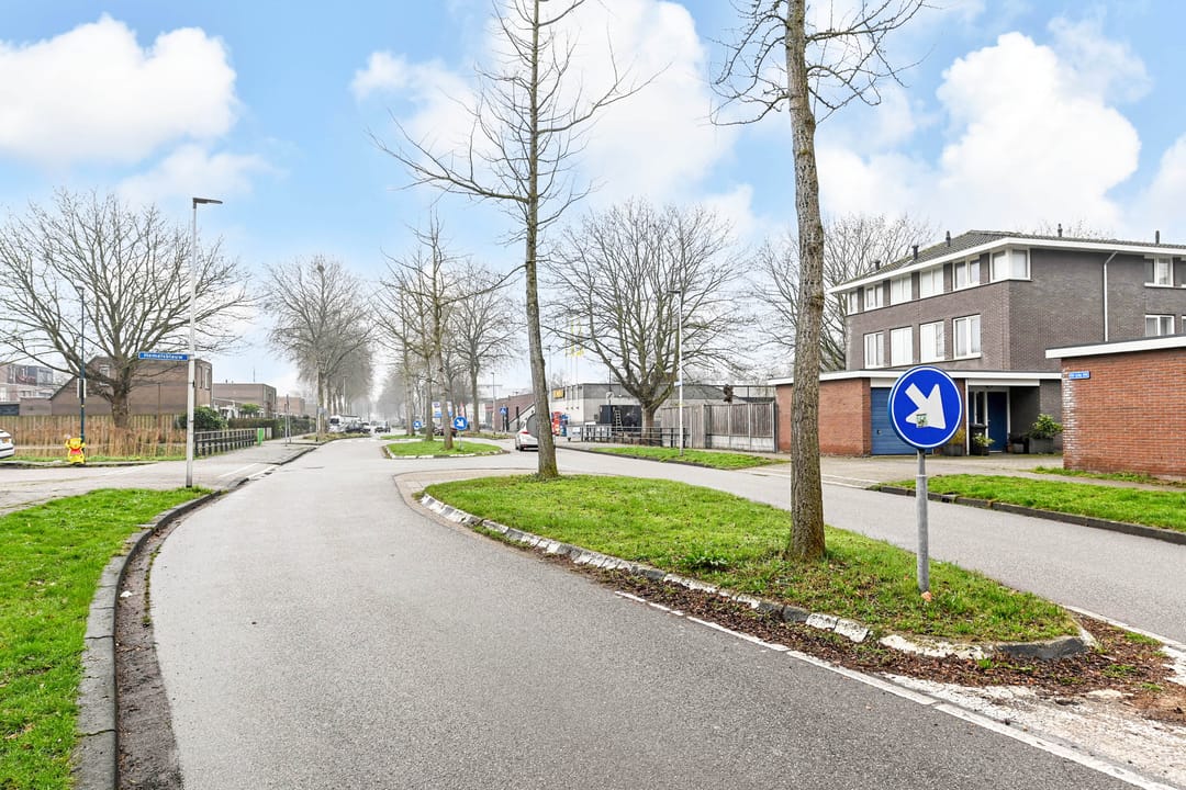 Foto 46 van Algengroen 8-A