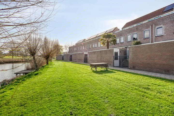 Foto 3 van Bromelia 16