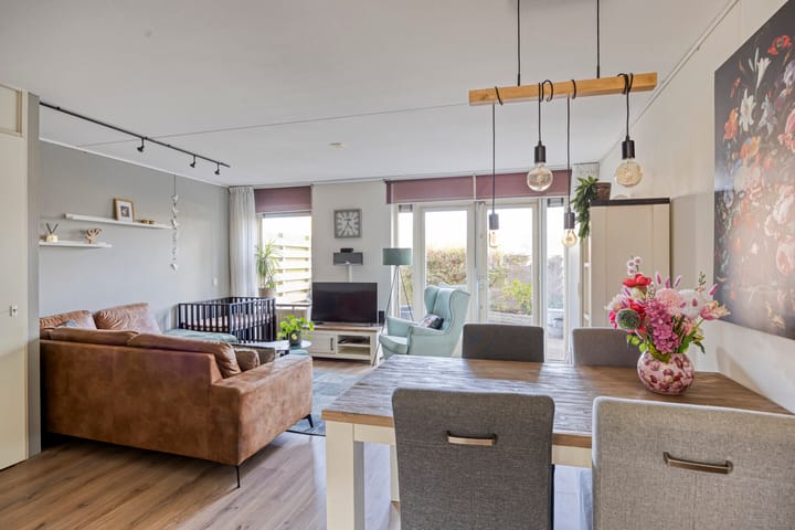 Foto 4 van Bromelia 16