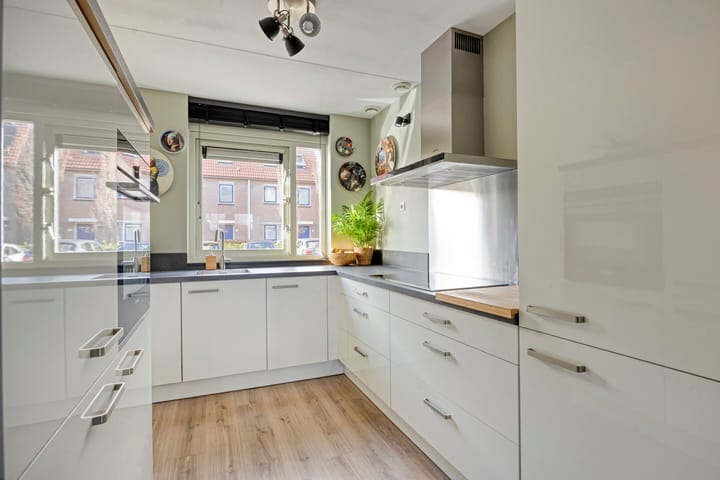 Foto 5 van Bromelia 16