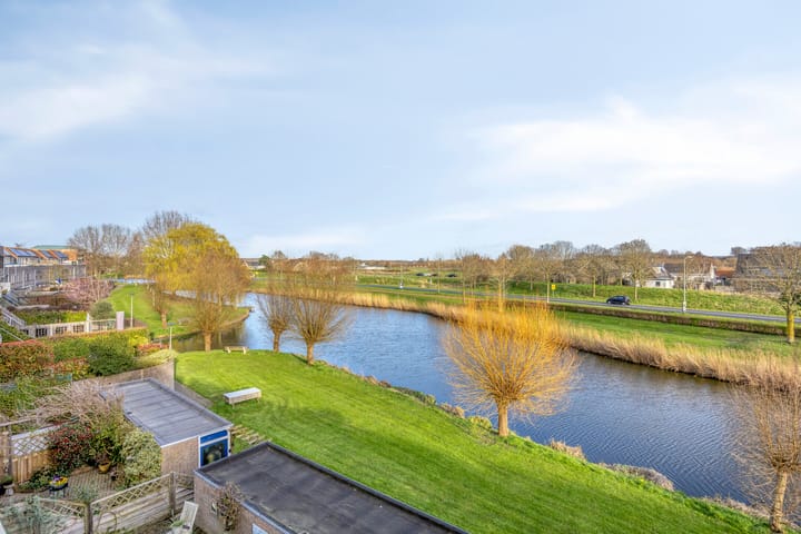 Foto 2 van Bromelia 16