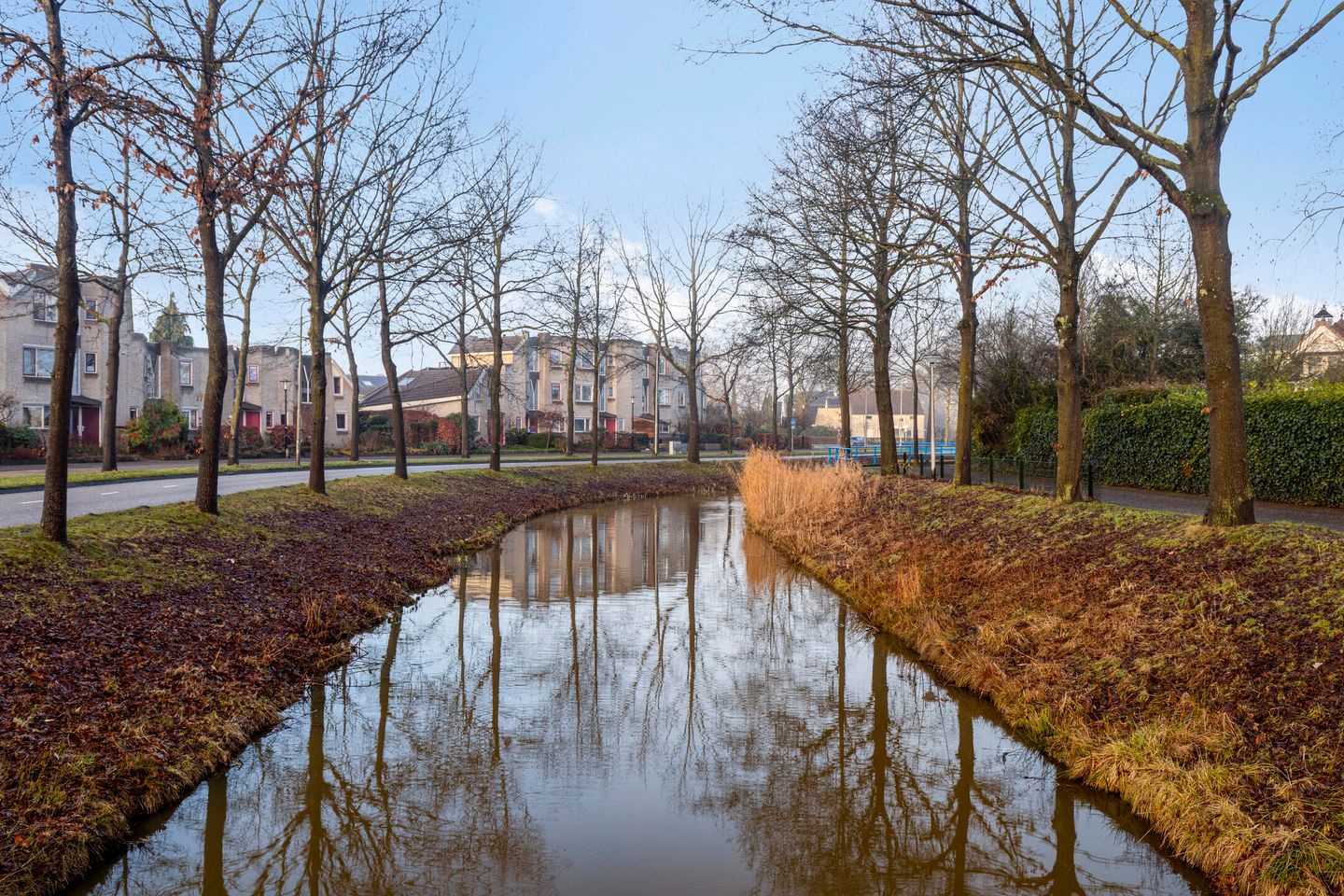 Foto 29 van Albert Schweitzersingel 445