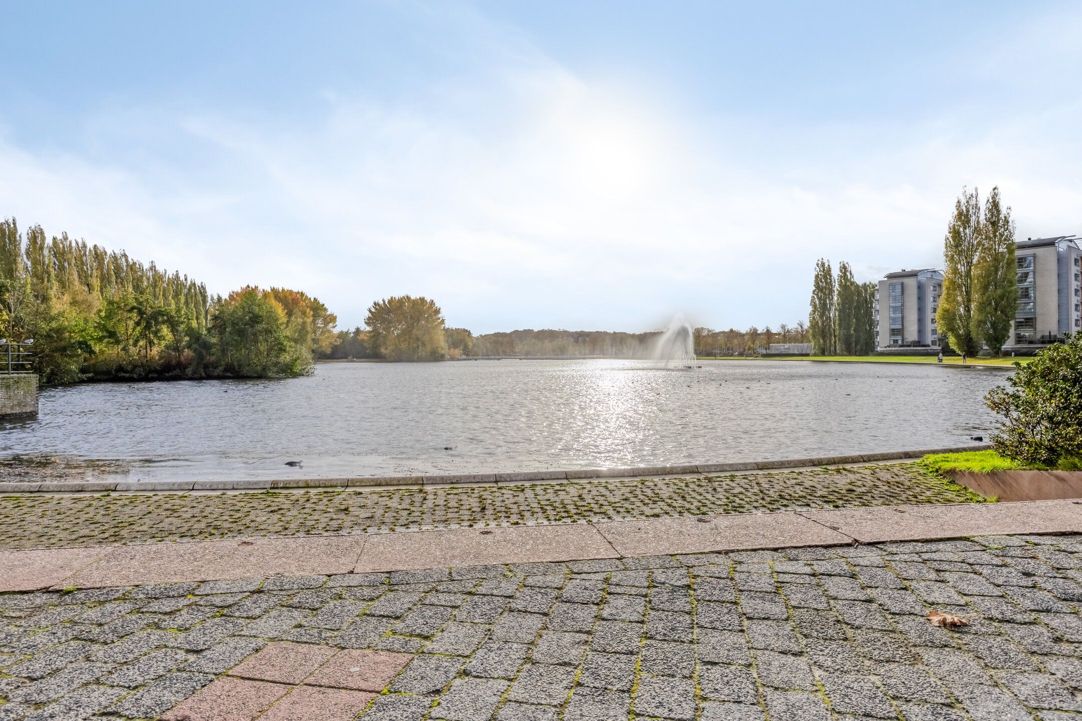 Foto 30 van Albert Schweitzersingel 445